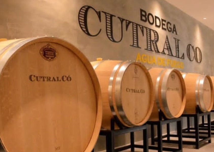 Imagen de la bodega Agua de Fuego