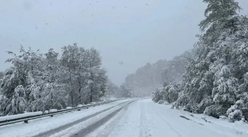 Mapa de Neuquén con zonas de nevadas o imagen de paisaje nevado.