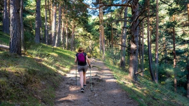 Persona caminando por un sendero en un bosque, rodeada de árboles.