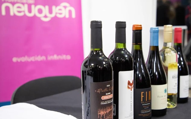 Degustación de vinos en Patagonia del Vino en Neuquén Capital.