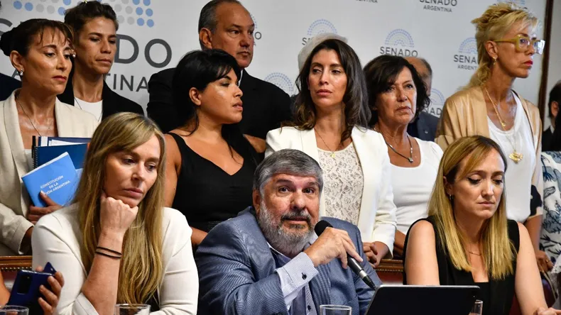 Senadores de Unión por la Patria insistirán con las leyes