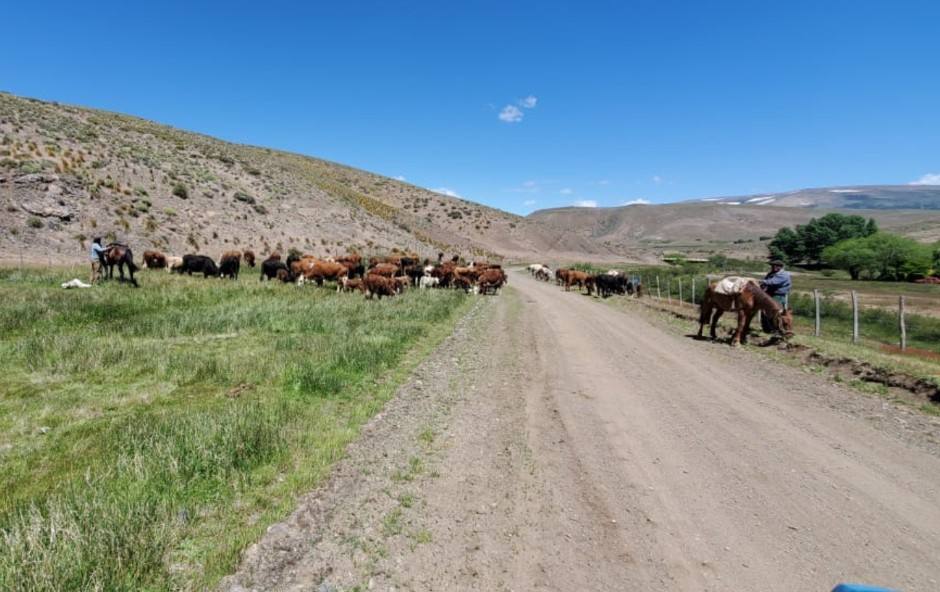 Tierras rurales y fiscales en el territorio de la provincia del Neuquén.